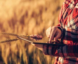 Έξυπνη γεωργία northagro